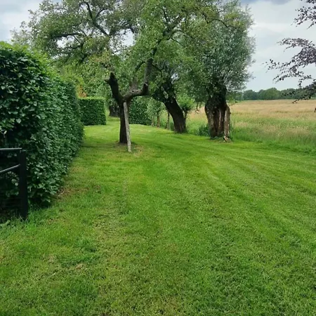 Pensión Beautiful Renovated *